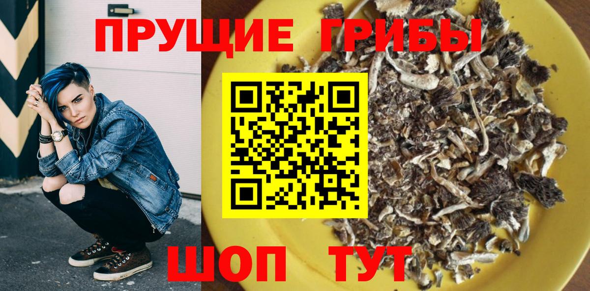 Ставрополь  Галлюциногенные грибы MAGIC MUSHROOMS  хочу наркоту  Вход с VPN  Галлюциногенные грибы MAGIC MUSHROOMS 